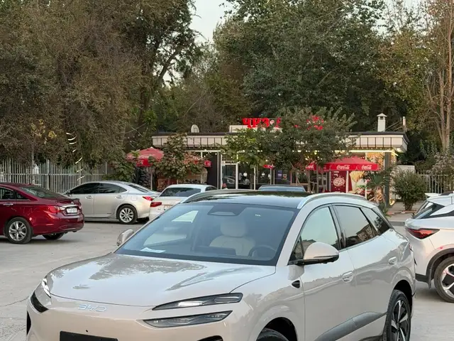 BYD Sea Lion 06