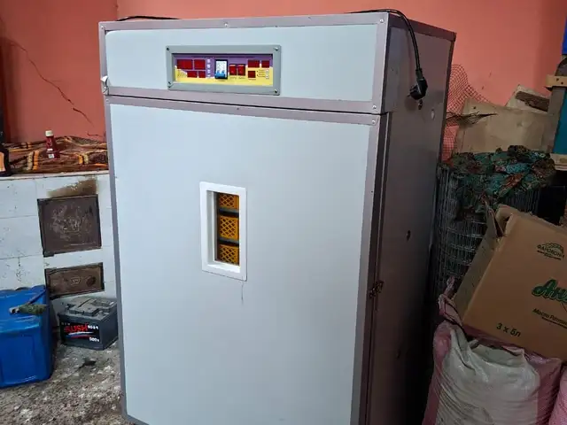 Инкубатори калон, Бустон (Чкаловск)
