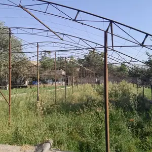 Теплица, Душанбе