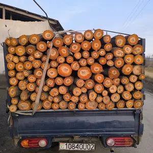 Хезум, Бободжон Гафуров