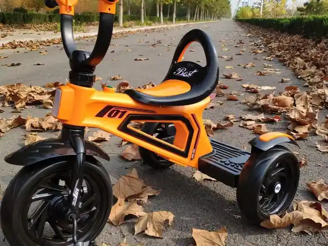 Трёхколёсный велосипед, Душанбе