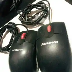 Мышка lenovo, Душанбе