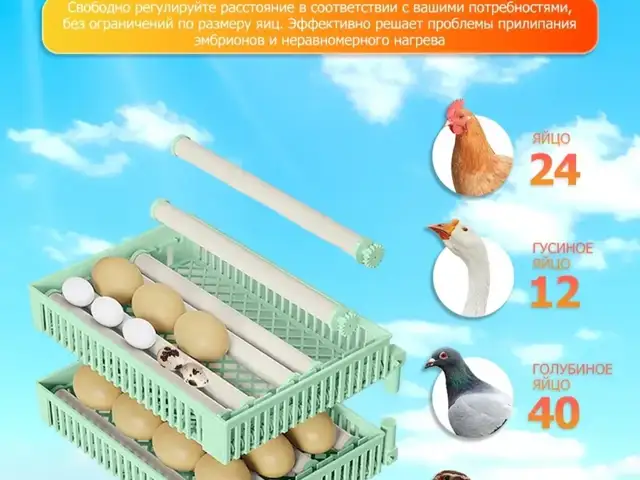 Инкубатор для яиц автоматический с терморегулятором 24 яиц, Душанбе