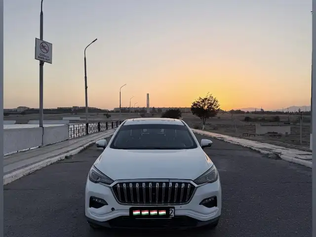 Hongqi E-HS3