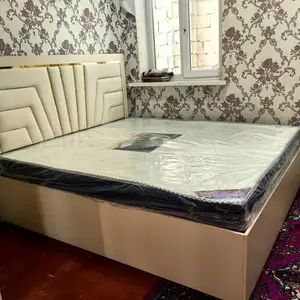 Двухспални крават, Душанбе