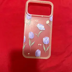 Чехол, Худжанд