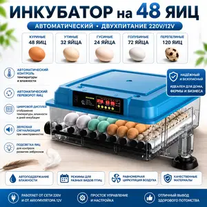 Инкубатор автоматический на 48 куриных яиц, Душанбе