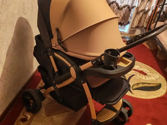 Коляска, Душанбе