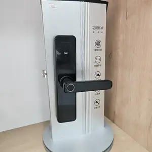 Умный замок, Душанбе