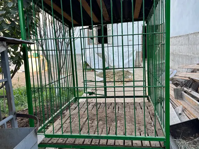 Хонаи гусфанд, Худжанд