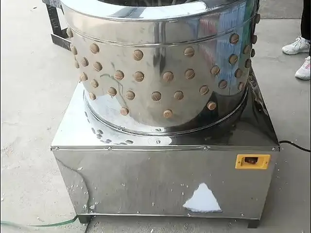 Партозакунаки Мург, Душанбе