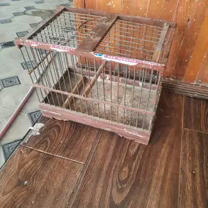 Клетка, Душанбе