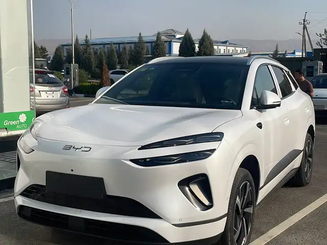 BYD Sea Lion 06