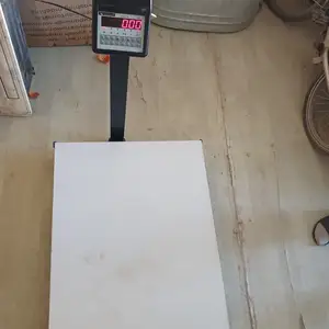 Весы 600кг, Спитамен