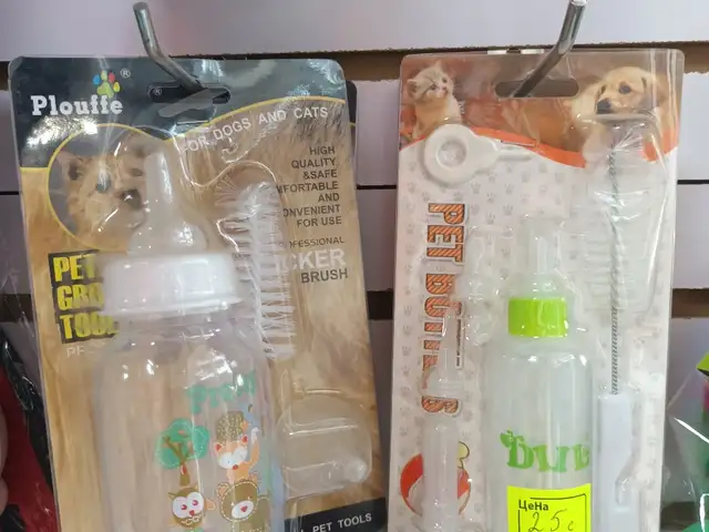 Бутылка для кошек, Хуҷанд