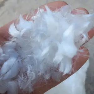 Фиброволокно, Душанбе