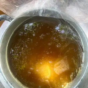 Асал, Гиссар