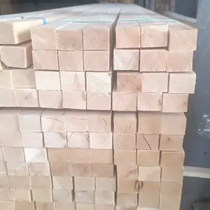 Рейка, Душанбе