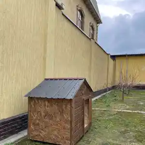 Домик для собак, Душанбе