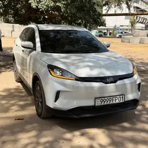 Weltmeister EX5