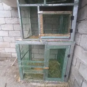 Хонача барои дакан, Турсунзаде