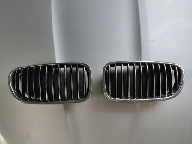 Решетка радиатора от BMW, Ваҳдат