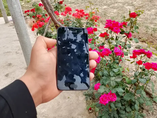 Samsung Galaxy C7, Ҷайҳун (Қумсангир)