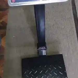Весы, Душанбе
