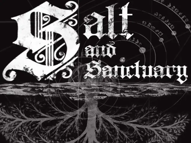 Игра Salt and sancruary для PS5 // 10.01-12.70 //, Душанбе