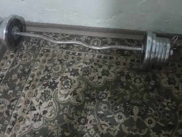 Гриф бо боинхояш, Душанбе