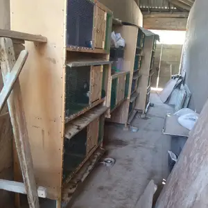 Харгуш, Пенджикент