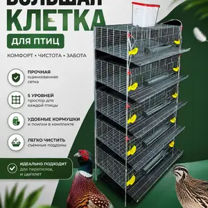 Клетка барои бедона, Худжанд