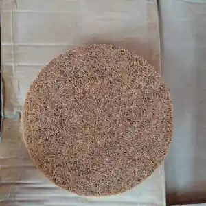 Полики кафтар, Душанбе