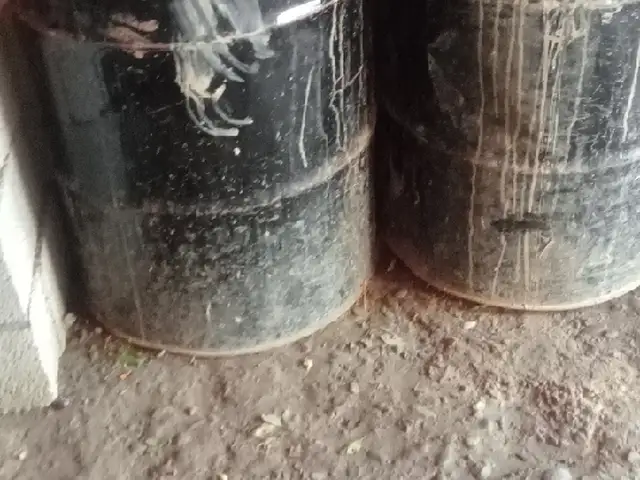 Клеи резин, Панҷакент