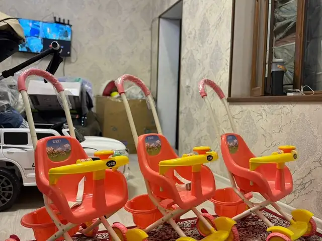Коляска, Душанбе