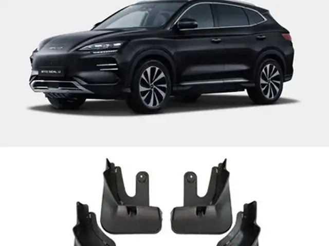 Брызговики для BYD, Худжанд