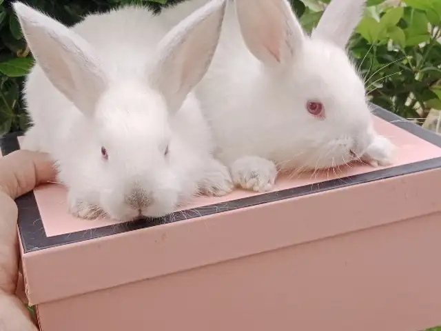 Харгушча 9км, Душанбе
