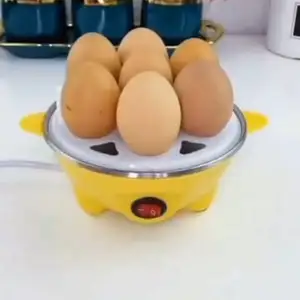 Яйцоварка, Хуҷанд