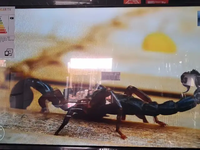 Телевизор Samsung, Хуҷанд