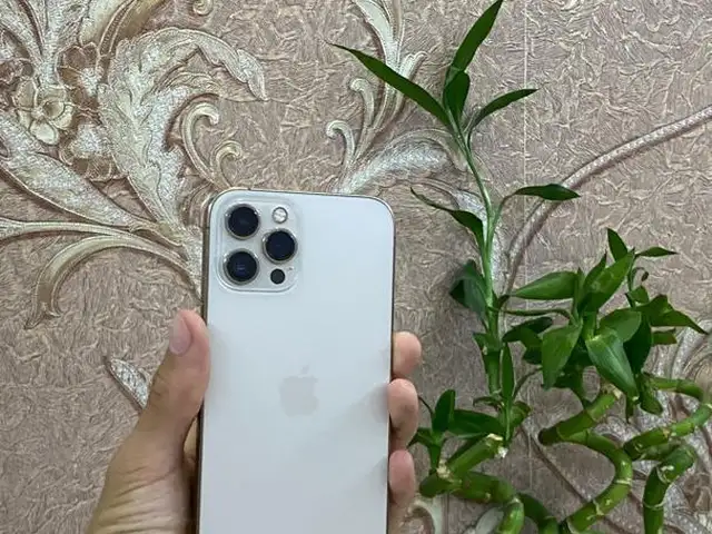 Apple iPhone 12 Pro Max, 256 gb, Gold, Хуҷанд
