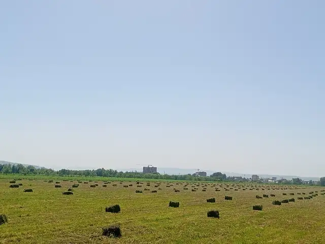 Пресс рушка, Восеъ