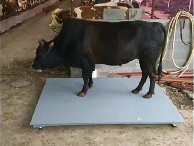 Весы 3000кг, Душанбе