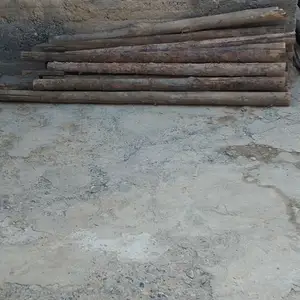 Чӯб, Бободжон Гафуров