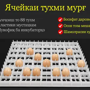 Лоток/Флейка/Ячейкаи тухми мурғ барои инкубатор, Душанбе