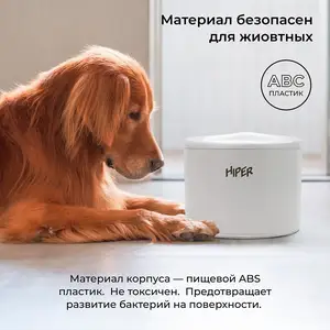Умный поильник для домашних животных, Худжанд