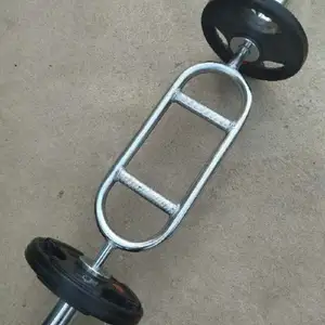 Гриф, Душанбе
