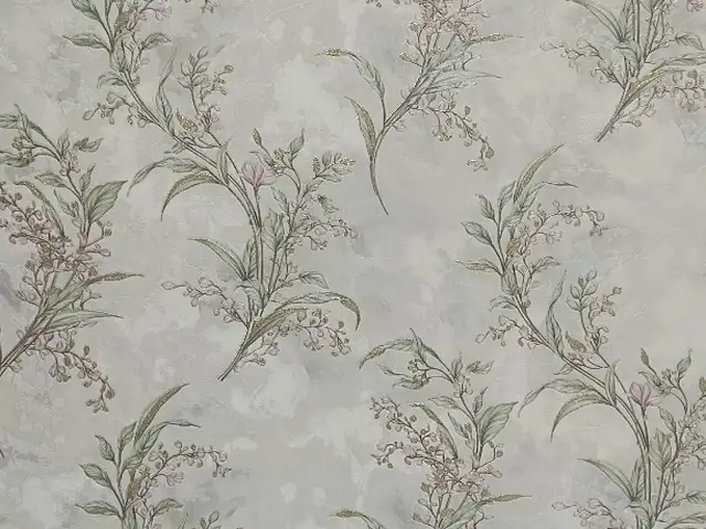 Обои, Душанбе