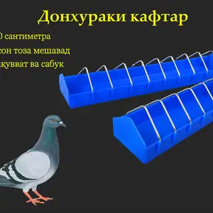 Донхураки кафтар 60 см, Душанбе
