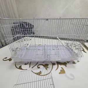Клетка, Душанбе