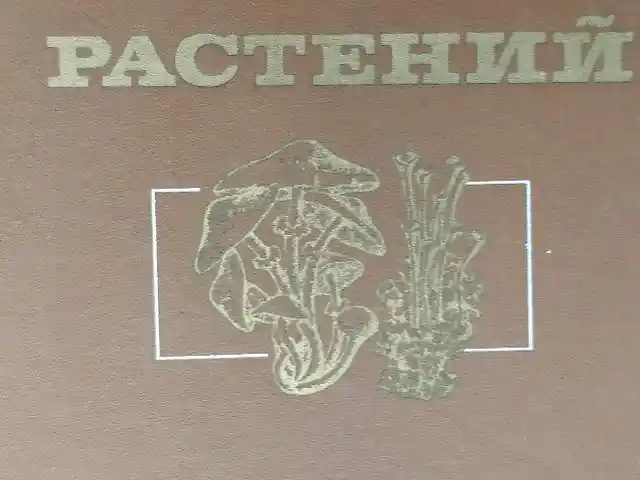Книга Мир растений, Душанбе